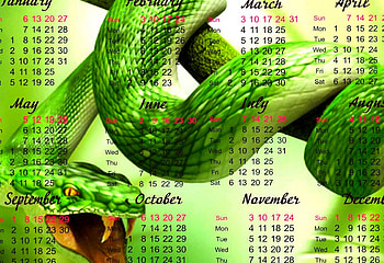 MARK YOUR DATE, snake, calendar, dates, green, 2013 HD wallpaper