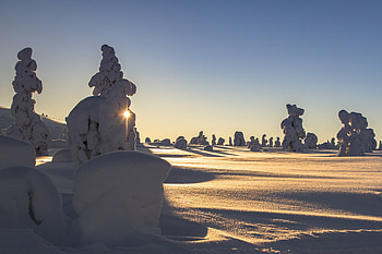 Finland, landscape, winter, snow HD wallpaper