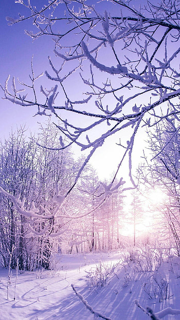Huawei winter , Winter HD phone wallpaper