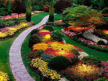 Landscape, Flowers HD wallpaper