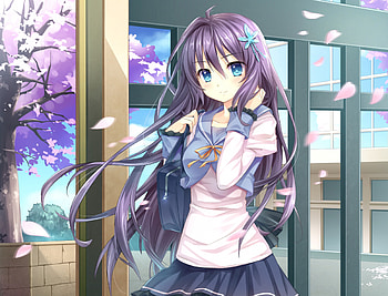 Falling Sakura, purple hair, floral, long hair, beauty, nice, lady, cg, petals, flower, maiden, , windy, female, blossom, sweet, flowing, girl, beautiful, wind, blow, anime girl, anime, flow, pretty, blowing, lovely HD wallpaper