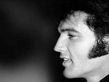 Elvis Presley, Music, Rock & Roll, The King HD wallpaper