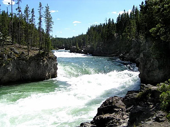 Yellowstone Upper Falls at Brink of the Falls Overlook, falls, trees, water, rock HD wallpaper