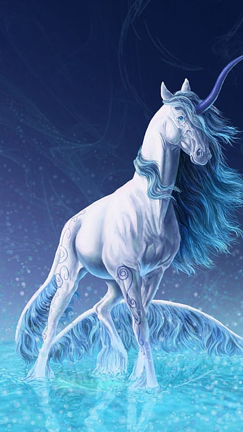 Unicorn, Horse HD phone wallpaper