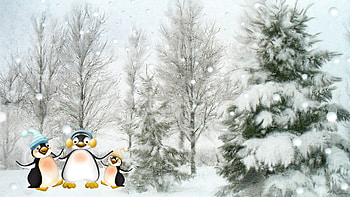 Happy Penguins, winter, firefox persona, cute, cold, penguins, snow, christmas, trees, whimsical, forest HD wallpaper