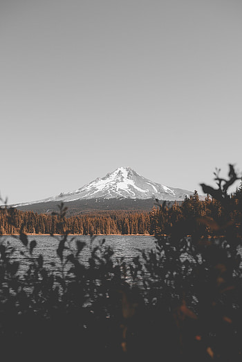 Nature, Sky, Mountain, Vertex, Top, Lake, Branches, Snow Covered, Snowbound HD phone wallpaper