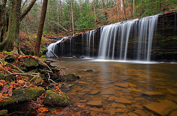 Waterfall Forest, waterfall, nature, forest HD wallpaper