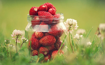 Fruits, Food, Strawberry HD wallpaper