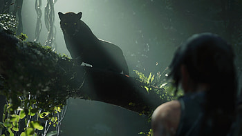 Shadow Of The Tomb Raider, Shadow of the Tomb Raider HD wallpaper