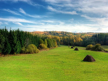 October Colors, trees, autumn, grass, sky HD wallpaper