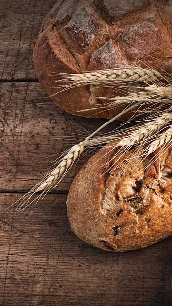 Food graphy, Savory breads, Gourmet delights, Appetizing visual HD phone wallpaper
