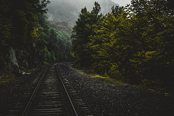 Nature, Trees, Usa, Forest, United States, Railway, Connecticut HD wallpaper