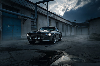 Shelby, shelby, vintage-cars, cars HD wallpaper
