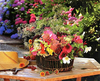 Garden table, colors, rich color, different flowers, table garden, beauty, basket, nature, flowers, gift of the nature, corner of paradise HD wallpaper