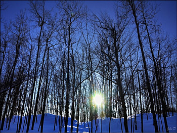 snowy, sunrise HD wallpaper