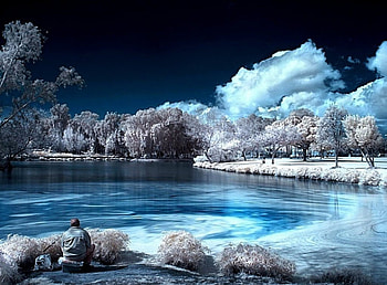 Waiting For Hope, winter, man, snow, clouds, trees, lake, beauty HD wallpaper