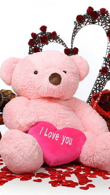 Teddy Bear Live, Pink HD phone wallpaper