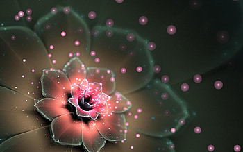Abstract, Flower, Glare, Shine, Brilliance, Fractal HD wallpaper