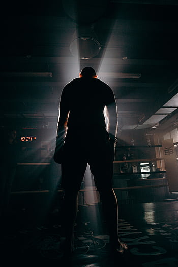 Silhouette of a boxer in a gym, illuminated by dramatic beams of sunlight, creating a powerful visual impact. HD phone wallpaper