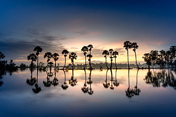 Peaceful sunrise reflecting palm trees in tranquil waters, creating a serene silhouette landscape. HD wallpaper