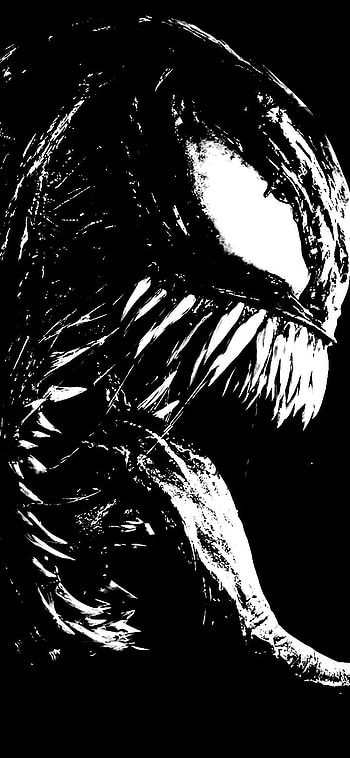Venom Black and White, eye, head HD phone wallpaper