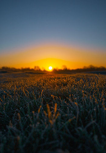 Grass, Sun, Drops, Macro, Wet, Frost, Hoarfrost HD phone wallpaper