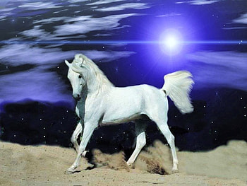 Stallion under the moon, night, blue sky, moon, white stallion, hill HD wallpaper