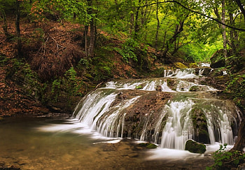 Waterfall, water, forest, tree HD wallpaper