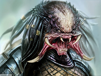 Predator, ufo HD wallpaper