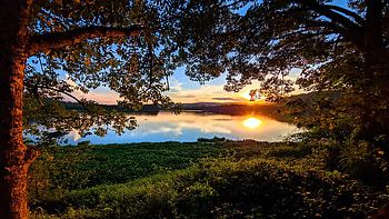 Nature speaks through colors - Pune, India, landscape, sky, sun, lake, trees HD wallpaper
