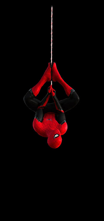 Spiderman , Spiderman Upside Down HD phone wallpaper