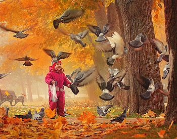 Childhood Bliss, pigeons, cild, beautiful, feeding, leaves, playing, trees, autumn, foliage HD wallpaper