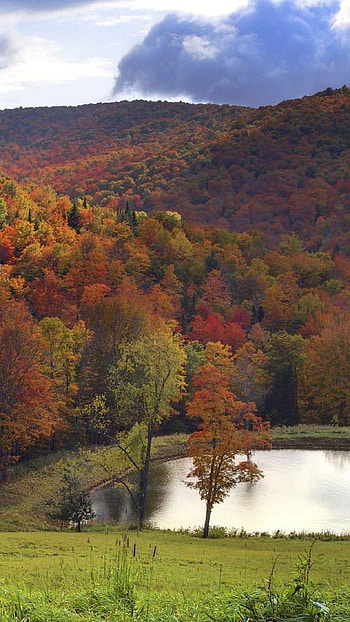 Autumn in Vermont, Serene lakes, Nature's beauty, Tranquil valley HD phone wallpaper
