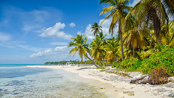Sandy beach in Dominican Republic, Caribbean paradise HD wallpaper