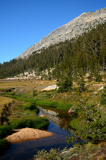 Nature, Rivers, Trees, Mountains, Rocks, Slope HD phone wallpaper