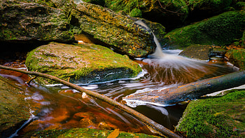 Clear Body Of Water Stream Algae Covered Stones Rocks Tree Trunk Nature HD wallpaper