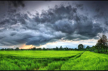 Green and Grey, cool HD wallpaper