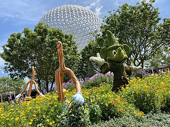 Epcot Park, Walt Disney World, Animal Kingdom, WDW news HD wallpaper