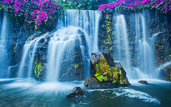 Animated Waterfalls: Still Preferable For Windows XP : Waterfall with Purple Flowers HD wallpaper