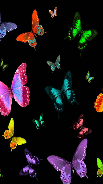 Colorful Butterflies, colors, artistic, butterfly HD phone wallpaper