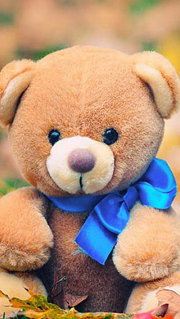 Teddy Wale, Soft Toy HD phone wallpaper