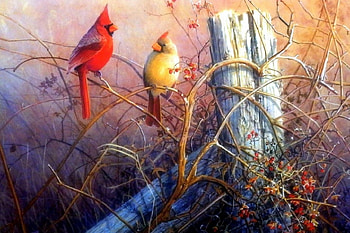 Scarlet Cardinals, love four seasons, birds, animals, draw and paint, autumn, paintings, cardinals HD wallpaper