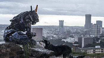 Chappie (2022) movie HD wallpaper