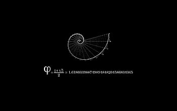 Fibonacci Sequence, Fibonacci Number, Fibonacci Spiral, Golden Ratio, Sacred Geometry, God's HD wallpaper