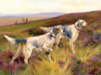 English Setter Hunting, love four seasons, animals, dogs, fields, draw and paint, hunting, paintings HD wallpaper