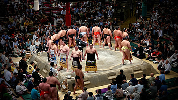 Sumo, National sport of Japan, Cultural symbol, Todoku Japan HD wallpaper