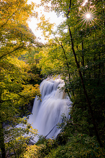Nature, Trees, Sun, Waterfall, Rays, Beams, Branches HD phone wallpaper