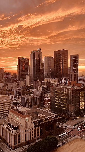 Hollywood Skyline, Travels, Los Angeles, Vibes HD phone wallpaper