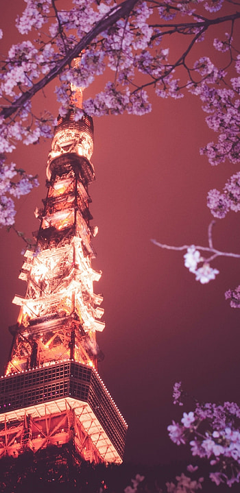 Tokyo Tower, Japan HD phone wallpaper