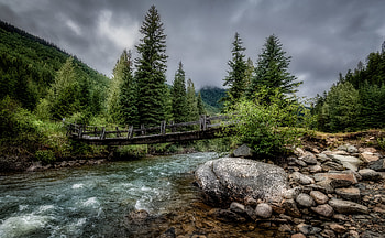 Nature, Rivers, Trees, Stones, Bridge HD wallpaper